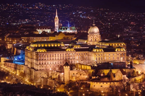 Kungliga slottet i Budapest Ungern — Stockfoto