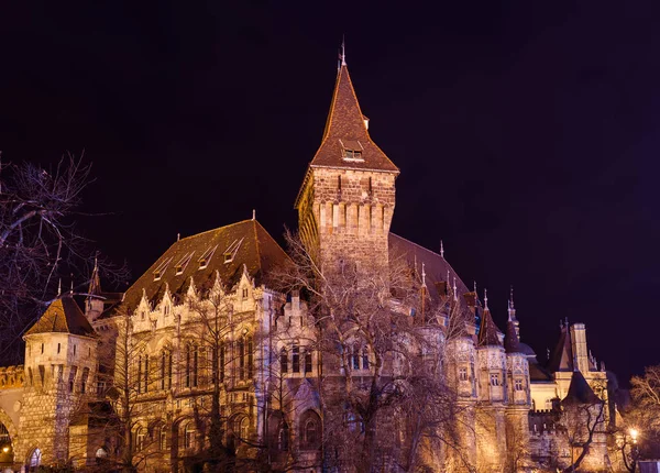 Castello di Vajdahunyad a Budapest Ungheria — Foto Stock