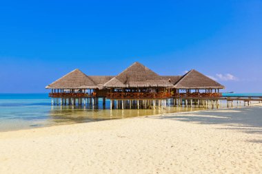 Tropik Maldivler ada Cafe