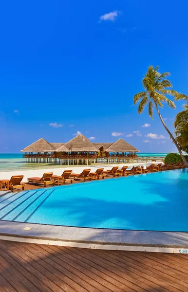 Piscina y cafetería en la playa de Maldivas — Foto de Stock