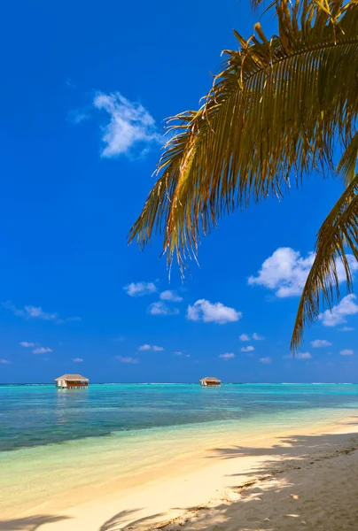 Wasserbungalow auf Malediven-Insel — Stockfoto