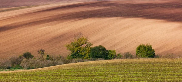 Famous moravian fields - Czech Republic — Stock Photo, Image