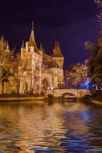 Castillo de Vajdahunyad en Budapest Hungría —  Fotos de Stock