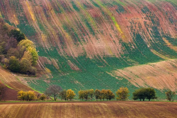 Famous moravian fields - Czech Republic — Stock Photo, Image