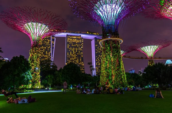Park Gardens by the Bay - Singapur —  Fotos de Stock