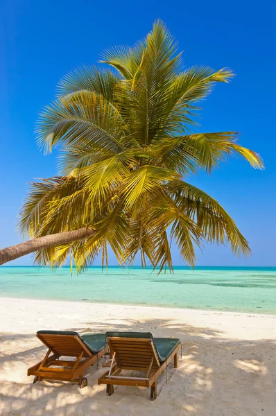 Maldivas playa - fondo de la naturaleza — Foto de Stock