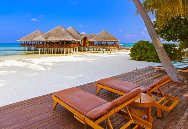 Tropik Maldivler ada Cafe