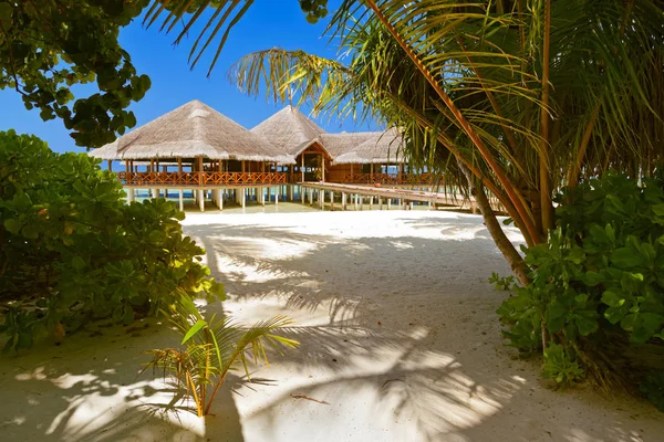 Café na ilha das Maldivas tropicais — Fotografia de Stock