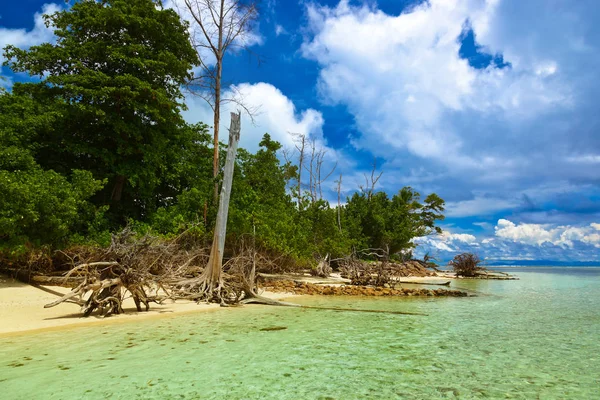 Spiaggia tropicale alle Seychelles — Foto Stock