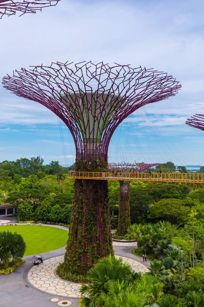 Park Gardens by the Bay - Singapur — Foto de Stock