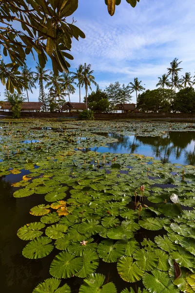Estanque en Candidasa - Isla de Bali Indonesia — Foto de Stock