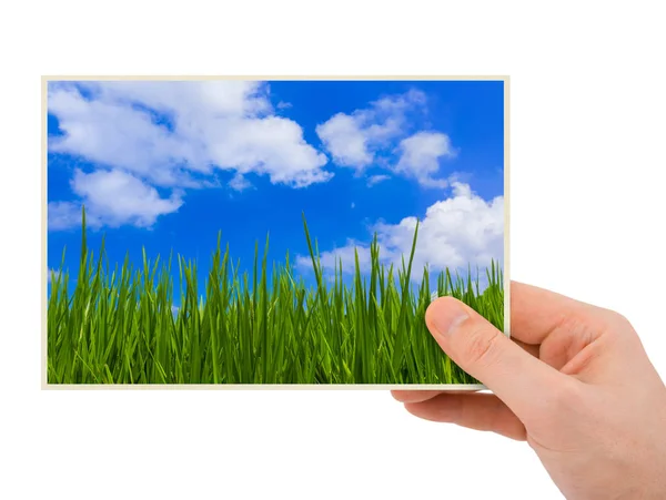 Hand and Grass (my photo) — Stock Photo, Image