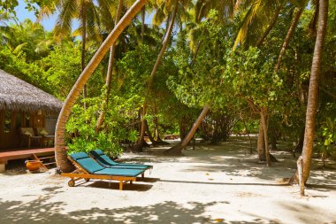 Beach bungalow - Maldivler