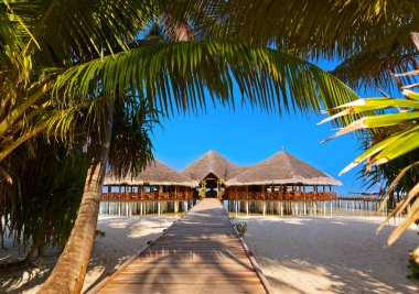 Tropik Maldivler ada Cafe