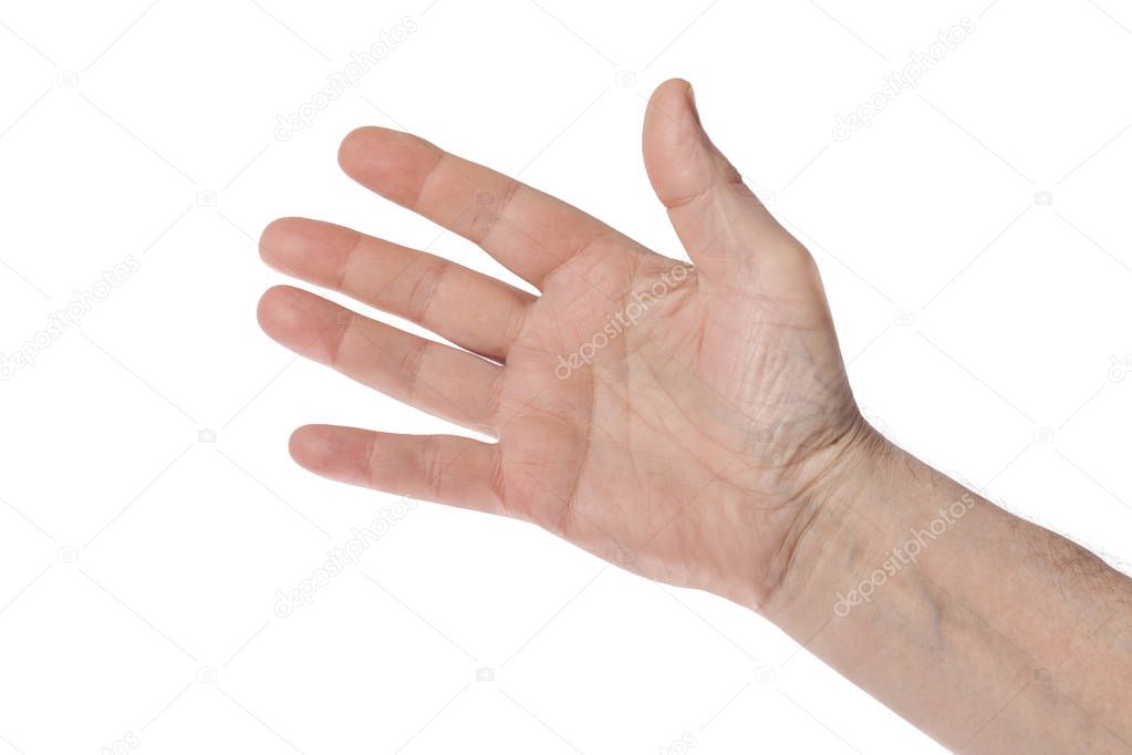 Human hand isolated on white