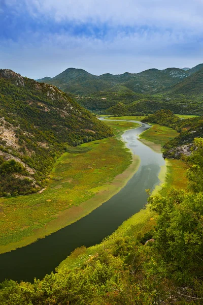 Рієка Crnojevica річки, біля озера Скадарського - Чорногорія — стокове фото