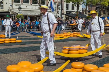 Alkmaar, Hollanda - 28 Nisan 2017: Geleneksel peynir pazarında peynir taşıyıcıları
