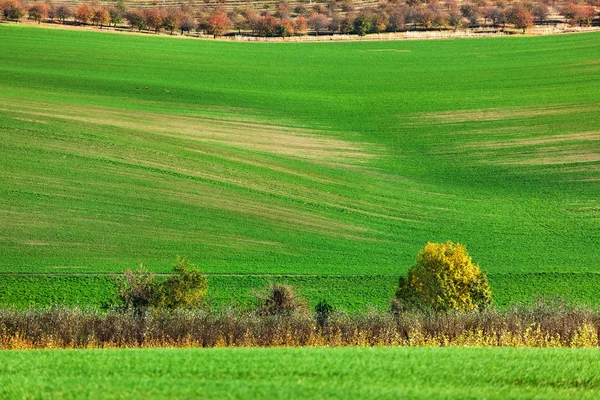 Famous moravian fields - Czech Republic — Stock Photo, Image