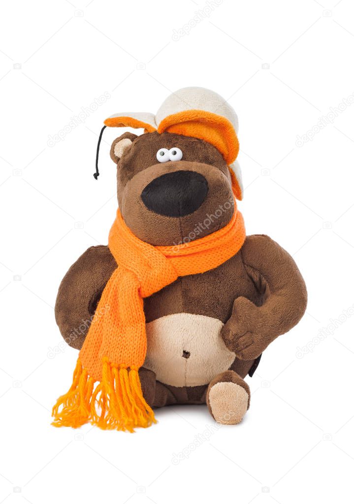 Toy bear in winter clothes