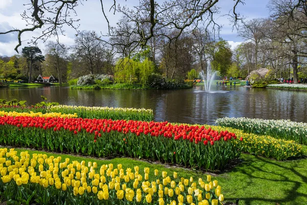 Flores no jardim Keukenhof Países Baixos — Fotografia de Stock