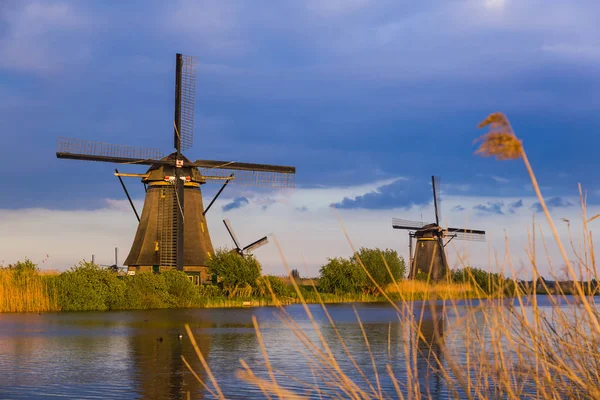 Molinos de viento en Kinderdijk - Países Bajos —  Fotos de Stock