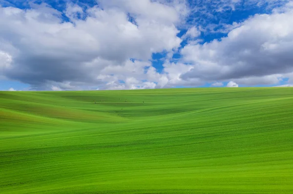 Famous moravian fields - Czech Republic — Stock Photo, Image