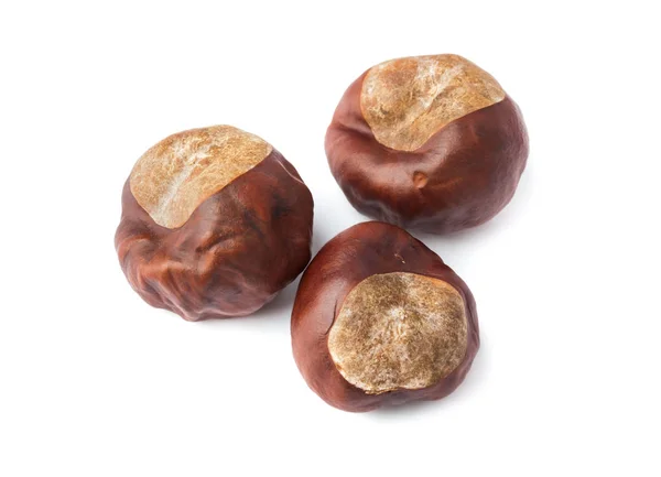 Ripe chestnuts — Stock Photo, Image