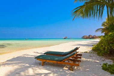 Maldivler plajda şezlong