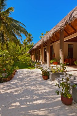 Maldivler adada lobi