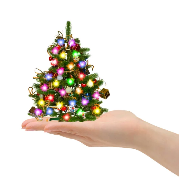 Christmas tree in hand — Stock Photo, Image