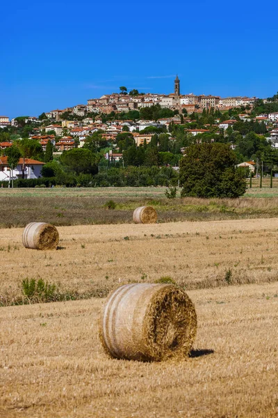 Hay Bales on a field in the Tuscany Italy — Stock Photo, Image