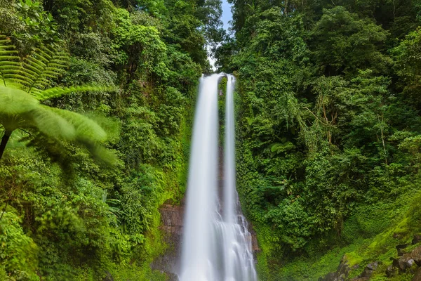 Gitgit Waterfall - Bali island Indonesia — Stock Photo, Image