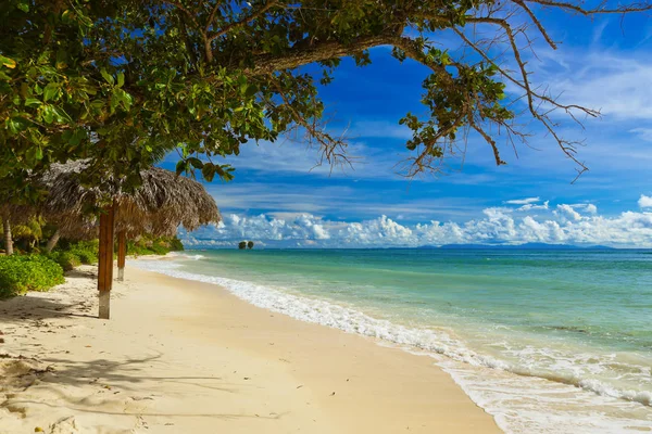 Praia tropical na ilha La Digue - Seychelles — Fotografia de Stock
