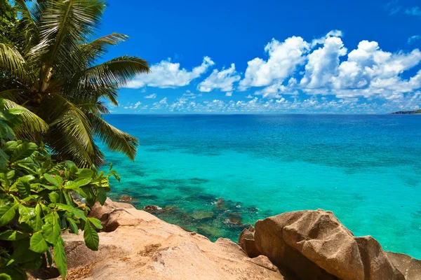 Tropischer Strand auf den Seychellen — Stockfoto