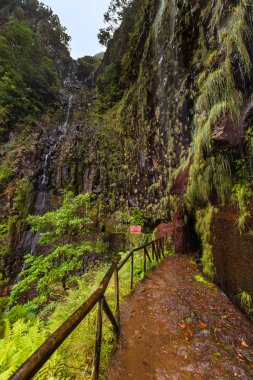 Madeira Portekiz 'de Risco Levada