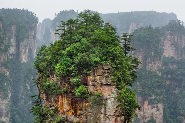 Tianzi Avatar góry parku przyrody - Wulingyuan Chiny — Zdjęcie stockowe