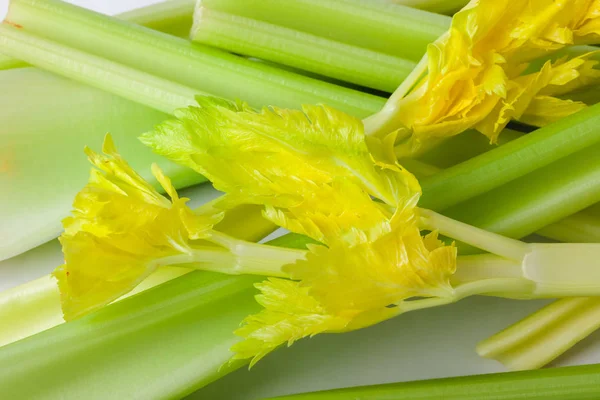 Légumes frais de bâtonnets de céleri — Photo
