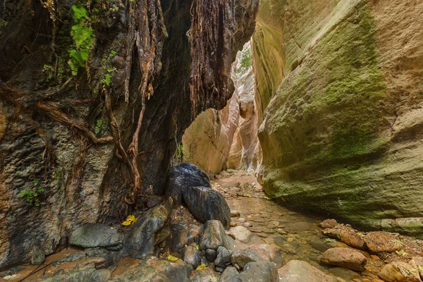 Avakas canyon op Cyprus eiland bij Paphos — Stockfoto