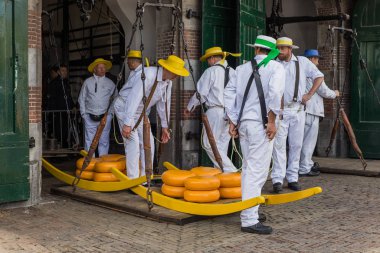 Alkmaar, Hollanda - 28 Nisan 2017: Geleneksel peynir pazarında peynir taşıyıcıları