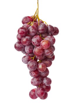 olgunlaşmış üzümler