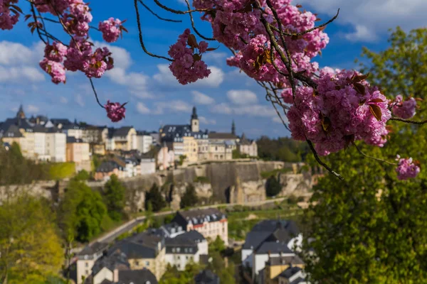 Luxembourg város városkép — Stock Fotó