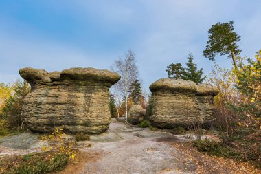 Çek Adrszpach-Teplice doğa parkında taş mantar