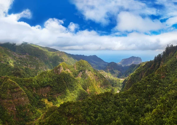 Balcoes Levada Panorama-Madera Portugalia — Zdjęcie stockowe