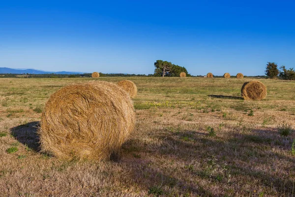Hay Bales on a field in the Tuscany Italy — Stock Photo, Image