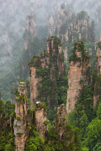 Tianzi Avatar Dağları doğa parkı - Wulingyuan Çin — Stok fotoğraf