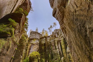 Adrszpach-Teplice doğa parkı çek kayalarda