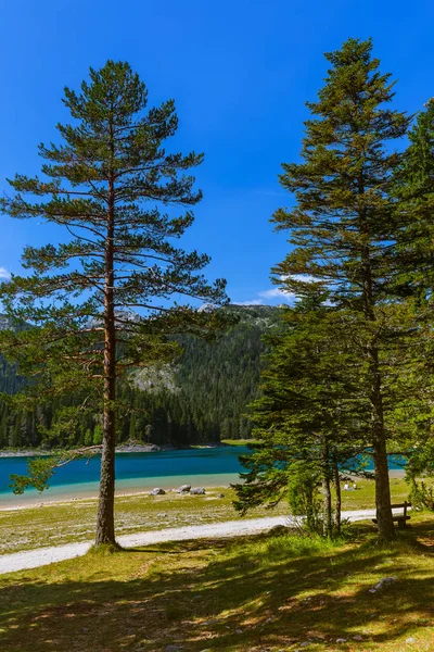 Black Lake (Crno Jezero) in Durmitor - Montenegro — Stock Photo, Image