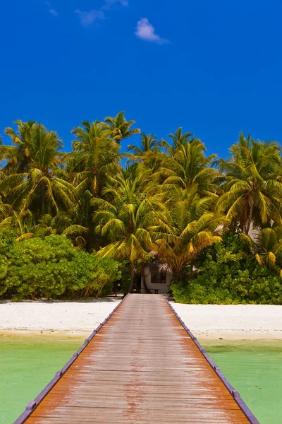 Ilha das maldivas tropicais — Fotografia de Stock