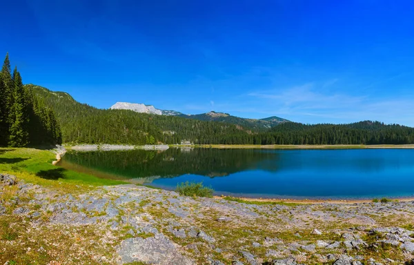 Чорне Озеро Crno Jezero Дурміторі Чорногорія — стокове фото