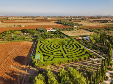 Botanik parkındaki çalılıklar - Ayia Napa Kıbrıs - doğa geçmişi